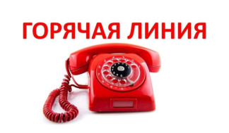 О функционировании горячей линии прокуратуры города.