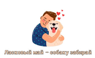 #ласковыймай2024.