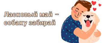 "Ласковый май-собаку забирай".