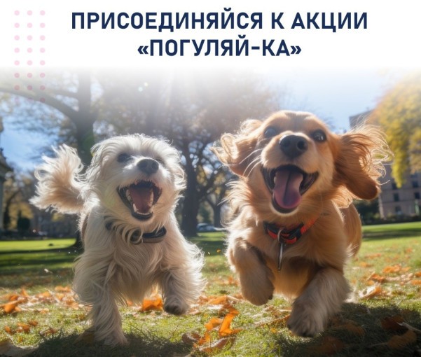 «Погуляй-ка».